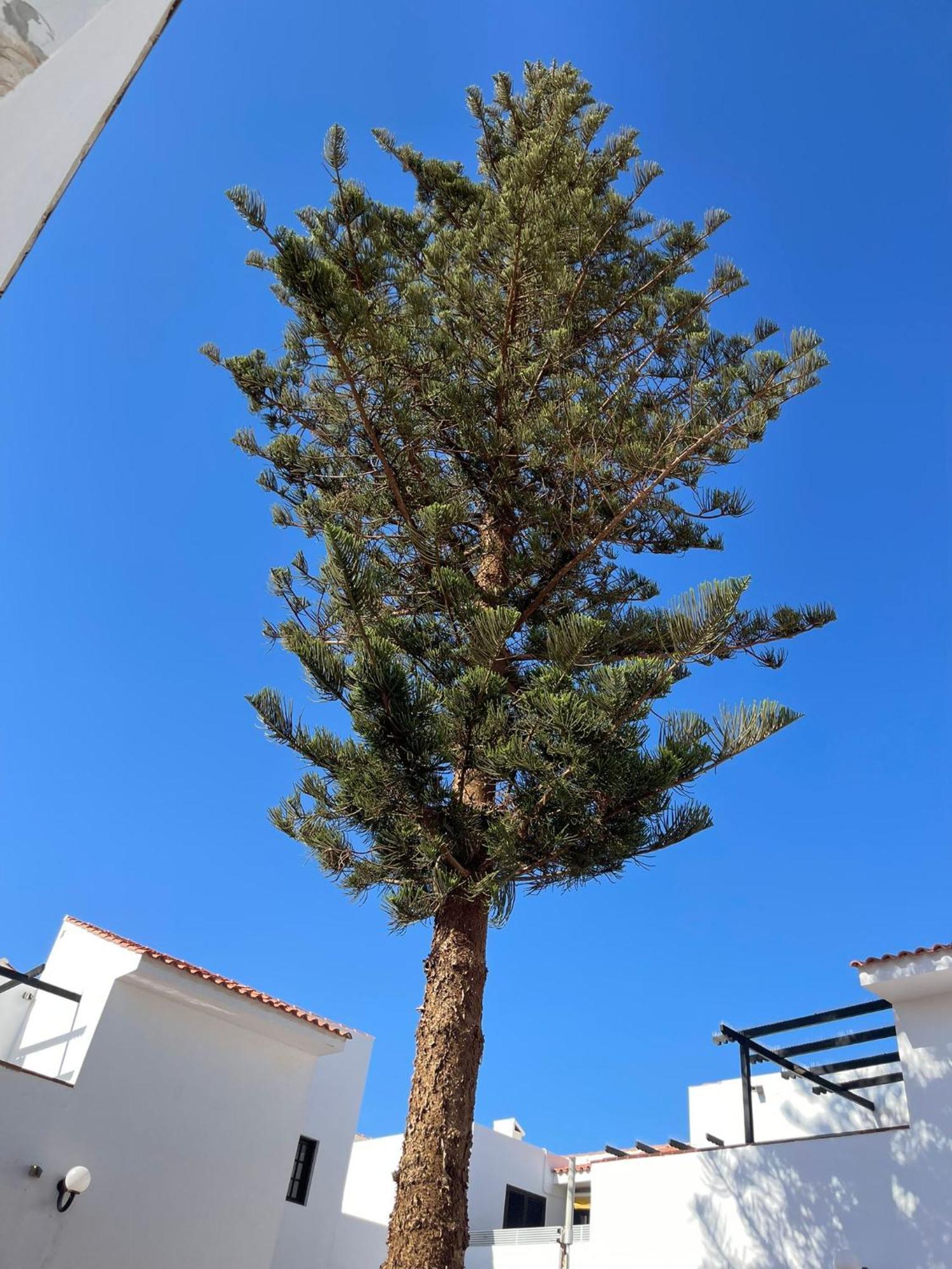 Apartamento Villa Florida 116 Caleta De Fuste Bagian luar foto